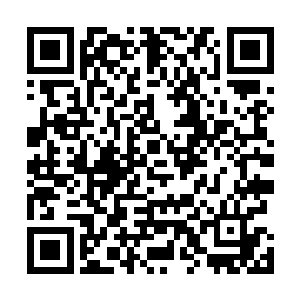 像秦洛这种第一天来就和老职员对着干的还是头一回见到二维码生成