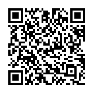 像穆扬灵一样直接指出皇帝之过大于奸臣的还是头一例二维码生成