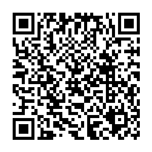 像给常务副省长花幼兰准备的礼物也就是西岭园艺场的一碰园艺盆栽二维码生成