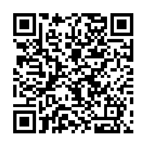 像蚂蚁一般的黑骨魔人把所有残存灵气都改造成魔气养分二维码生成