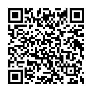 像谢尔盖这种精力过剩的家伙又会不停的找麻烦二维码生成