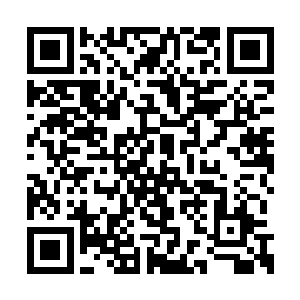 像足了每次进入副本的时候那种扫描的绿色光幕二维码生成