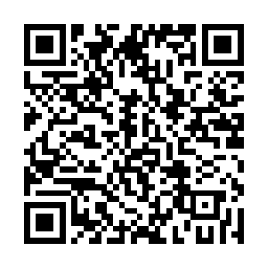 像这些宣传资料我打算就要用最好的铜版纸印刷出来二维码生成