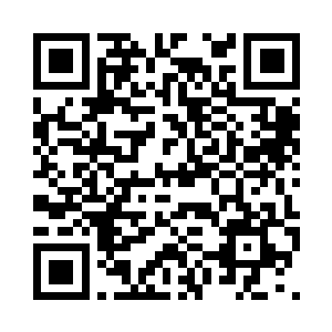 像这些花花草草的明显阻挡我办公了二维码生成