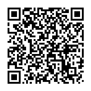 像这种超能机甲不是只有精神力和体质都是3s级别的人才能进去吗二维码生成