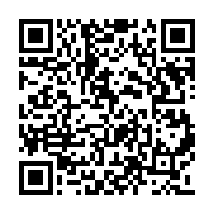 像雷天这样在二级武者的时候就得到天赋神通的二维码生成