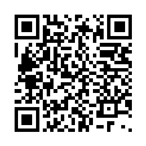 像风这样看着机灵的完全对食物没感二维码生成