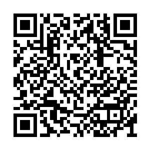 像马道涵这种有底线有尺度的领导真的很难得了二维码生成