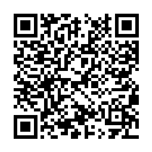 像龙傲天这种混沌天境界的修为只不过是炮灰罢了二维码生成