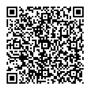 像龙域这种在天域中土生土长的势力经过了无数年的传承之后里面的高手肯定是不知表面上这么简单二维码生成