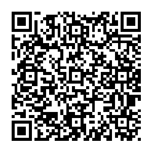 僵尸之牙不曾轻易出现 但每当出现的一刻 就是他最为愤怒 也是最为癫狂的一颗二维码生成