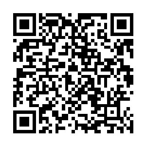 儒艮这种原本应该生活在大海里的生物却忽然在这里出现了二维码生成
