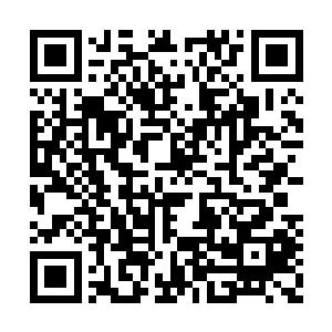 儿子…儿子只是觉得这两人都是难得的人才……二维码生成