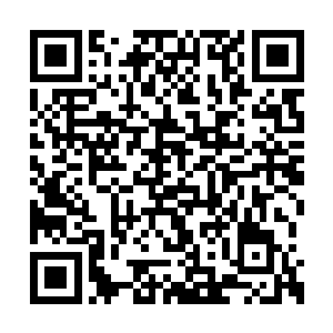 儿子念八皇子和英亲王府的大公子连夜赶路奔波二维码生成