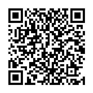 儿臂大小的蜈蚣烤熟后去壳端出白嫩嫩如虾肉一盘浇上汤汁二维码生成