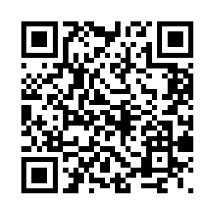 儿臣派去陵城的人刚刚已经传来消息了二维码生成