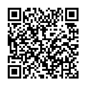 儿这个小军师帮她想好了明天怎么哄她妈妈的妙计二维码生成