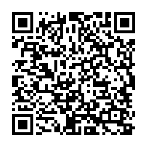 兀剌游骑兵特有的阿尔汗金马如沉雷般的马蹄声似乎正在追逐着什么渐渐远去二维码生成