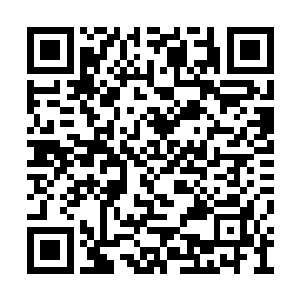 兀牙刚才是真的被眼前这少年的实力震惊了一下二维码生成