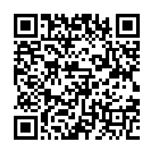元一教和浩天门一直参与了对青蛇殿和赤蛇殿地盘的抢占二维码生成