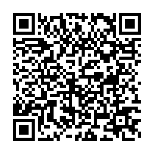 元始天魔的表情和语气都仿佛带有一种诡异而强大的魅力和蛊惑能力二维码生成