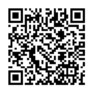 元始文明已经征服了那么多灵气充裕的丰饶世界二维码生成