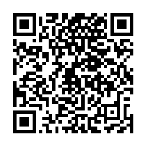 元婴期的修士不论是速度还是气势都是其他修士无法比拟的二维码生成