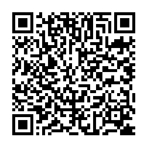 元瞋神王此次很明显是把他当成了供其攻占龙宫成败关键的棋子来利用二维码生成