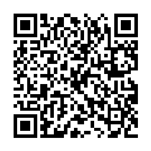 元素之力的攻击力和防御力几乎是可以忽略不计的二维码生成