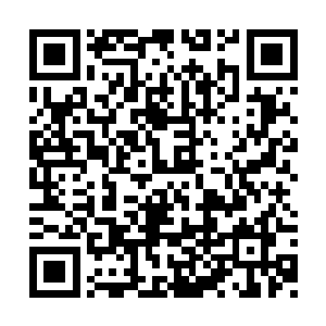 元觉洞绝不肯为了我元一教而大肆浪费先天符叶二维码生成