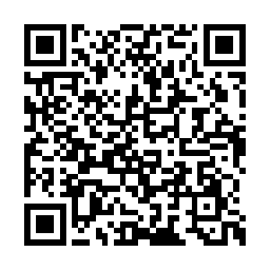 元辰站在不远处看着林烽和二女有说有笑的样子二维码生成