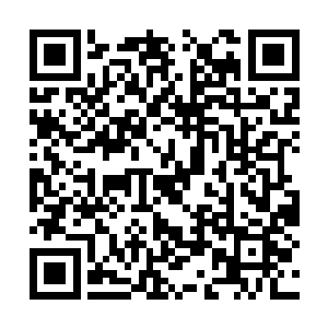 元辰还从杨戬那里得到了一朵无比珍贵的天地玄火二维码生成