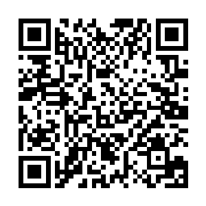 元门会酌情将弟子列入消失或者是提出元门的名单之中二维码生成