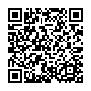元阳针化成的长剑也落在了辛天仇布下的冰盾冰甲上二维码生成