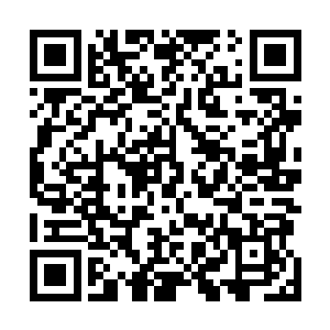 元霸仙君和苍天仙君两人也带着精英部队从里面杀了进来二维码生成
