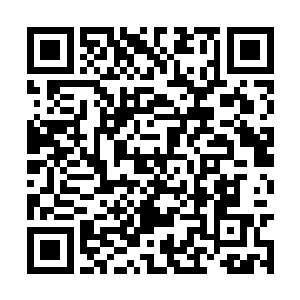 元青姐姐说的很可能是真实……她告诉我说……嗯二维码生成