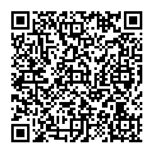 兄弟……你侄子要是连最后一点命火也熄灭了……就等于……就等于你嫂子……也跟着去了……二维码生成