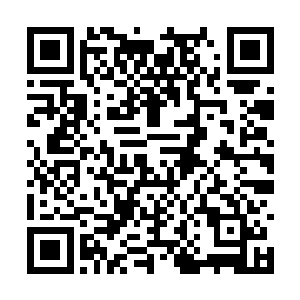 兄弟阋墙的惨剧外公自是不希望发生在他们身上的二维码生成