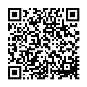 充当社会恶势力保护伞等等几乎自己大半的劣迹都记录在案二维码生成