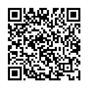 充满了力量感的声音也忽然从那无边海域中响了起来二维码生成