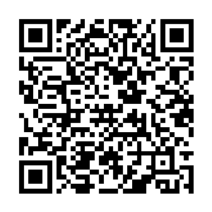 充满浓郁华族风格的巨大建筑就出现在三个人面前二维码生成