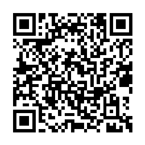 充满灵性的马尾拂尘顺势再抽了吴灵素一记耳光二维码生成