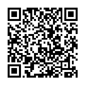 充满着一种几乎无法形容也不可描述的茁壮的野性的美二维码生成