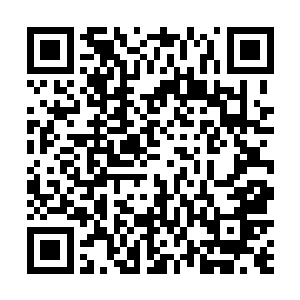 充满着陨石碎屑的尘埃已经布满了坠落点的方圆数百里二维码生成