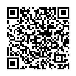 充满诧异与惊讶的看向了这个泛着紫色光芒的宝物二维码生成