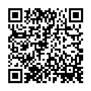 先一步回来的战如意也没想到苗毅能紧随其后就回来了二维码生成
