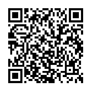 先不用急着回家――一会儿我亲自去方家走一趟二维码生成