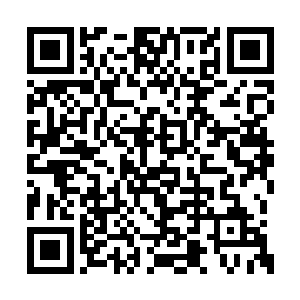 先不说两人的家族无数年来已经建立了错综复杂二维码生成