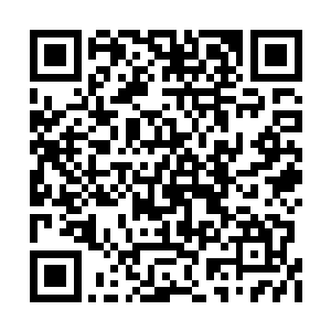 先不说凤聚仙山距离莲竹山脉的距离就要好几日二维码生成