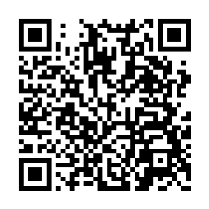 先不说华夏九根本不可能做出如此乱杀无辜之事二维码生成